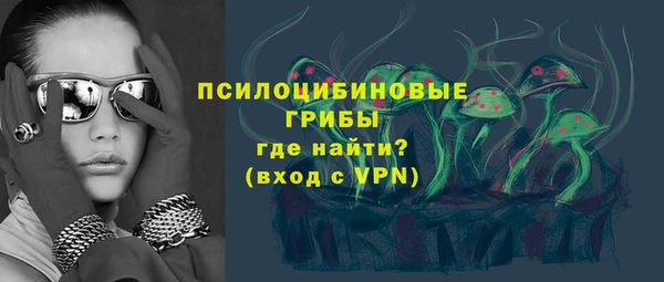 ешки Ельня