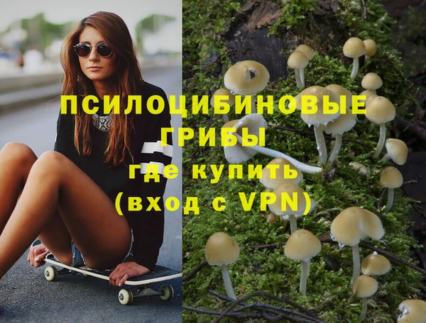ешки Ельня