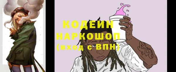 ешки Ельня