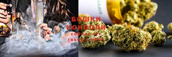 ешки Ельня