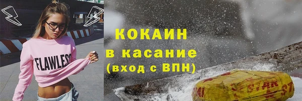 твердый Елизово