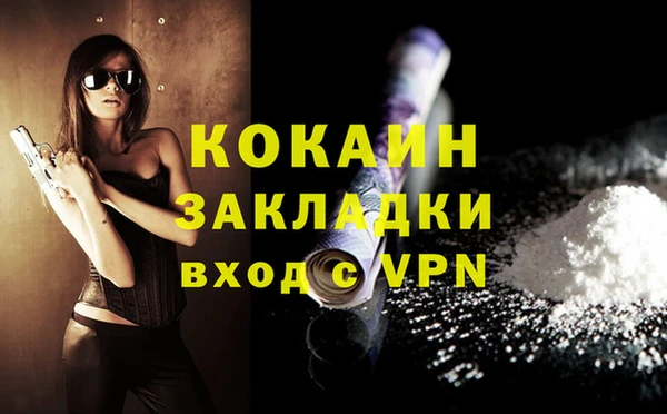 ешки Ельня