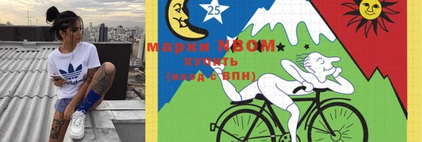 твердый Елизово