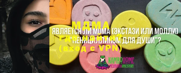 ешки Ельня