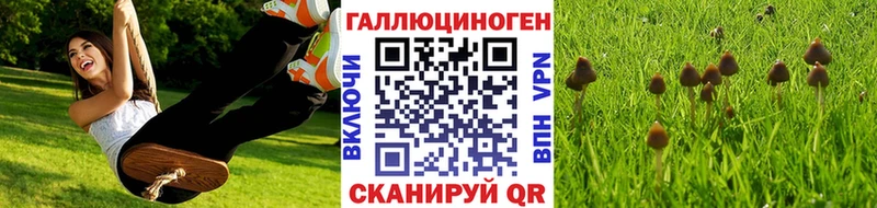 Купить  Пошехонье  Галлюциногенные грибы ЛСД 
