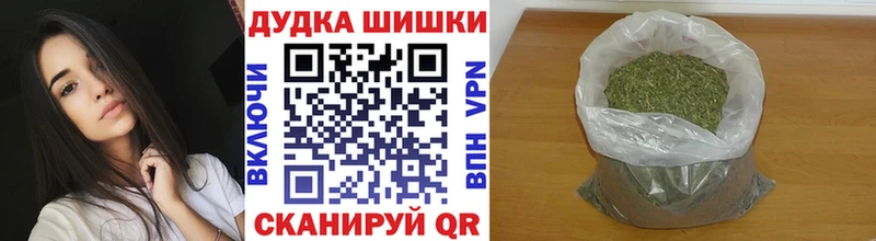 Купить где  Пошехонье  Канабис сатива 
